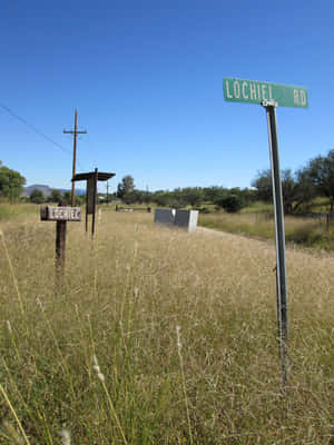 Lochiel Rd的綠色路牌矗立在清澈藍天下高大的乾草叢中。 — 亞利桑那沙漠 壁紙