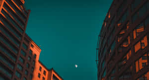現代建築勾勒出一彎新月，映襯著藍綠色的暮色天空。 — 夜空 壁紙