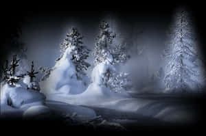 冬季森林雪景，樹木覆蓋白雪，寧靜而美麗的冬日風光