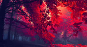 迷霧森林，閃耀的紅葉，超現實的深紅色天空。 — 可愛動漫頭貼 GIF 壁紙