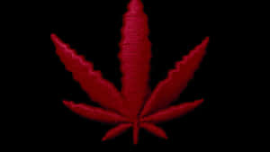 黑色背景上的紅色刺繡大麻葉 — 花朵 4K 壁紙