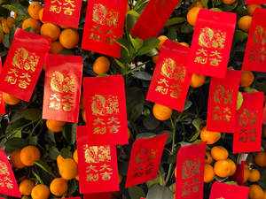 帶有金色中文字的紅色紅包袋掛在橙色金桔和綠葉之間。 — 春節 壁紙