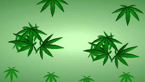 在綠色漸變背景上漂浮的大麻葉。 — 霓虹綠美學 壁紙
