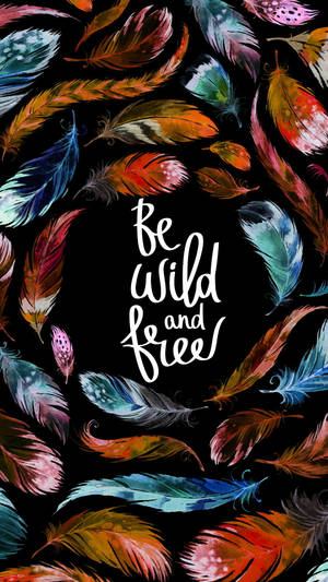 彩色羽毛在黑色背景上框住「Be Wild and Free」這句話。 — 波西米亞美學 壁紙