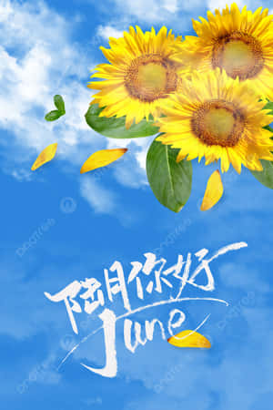 向日葵和花瓣在藍天中飄浮，帶有六月文字。 — 春天花朵 壁紙