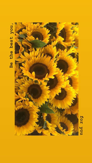 向日葵花束，黃色背景上寫有「Be the best you for you」文字。 — 花 iPhone 壁紙