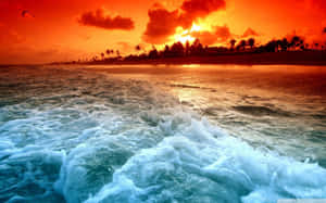 海洋上的夕陽，海浪拍打和海岸上的棕櫚樹 — 海灘桌面 壁紙