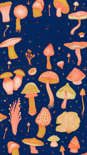 在深藍色背景上繪有星星的橙色和黃色蘑菇插圖。 — 蘑菇美學 壁紙