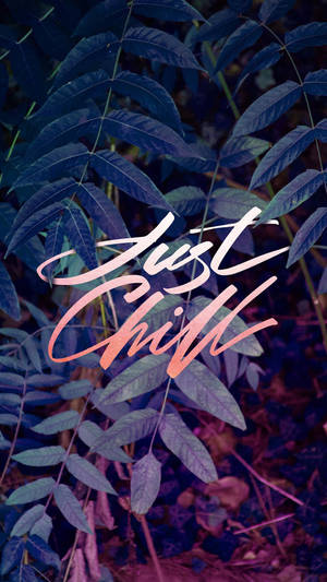 文字「Just Chill」疊加在深藍色和紫色葉片上 — Chill 壁紙