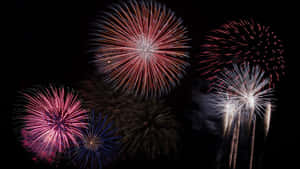 慶祝活動期間，色彩繽紛的煙火在夜空中綻放。 — 慶祝 壁紙