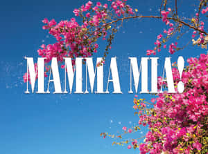 粉紅色九重葛環繞著閃閃發光的白色文字，上面寫著 MAMMA MIA，背景是藍天。
