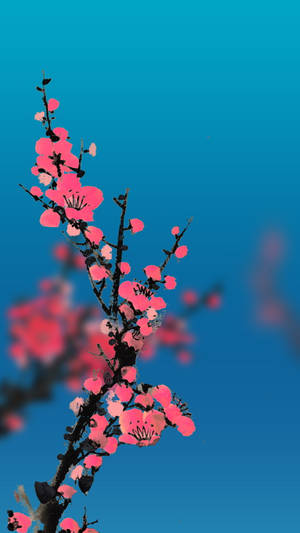 深色樹枝上的粉紅色櫻花，藍色天空，模糊背景。 — 自然 iPhone 壁紙