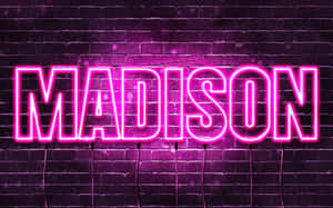 安裝在深色磚牆上、寫有MADISON的粉紅色霓虹燈招牌。 — 好萊塢 壁紙
