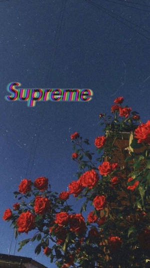 星空夜空中的紅玫瑰和帶有故障效果的Supreme標誌。 — 藍色美學電腦 壁紙