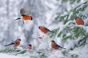 紅胸鳥聚集在雪林中的雪人周圍。 — MacBook Air 13 壁紙