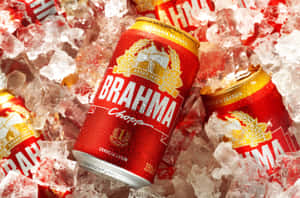 紅色 Brahma 啤酒罐在碎冰中冷藏，帶來清爽的夏日飲品。 — 啤酒 壁紙