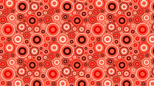 紅白同心圓圖案壁紙設計 — 紅色圓圈 壁紙