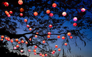 紅色和粉紅色燈籠掛在樹枝上，以暮色天空為背景。 — 綠光戰警 壁紙