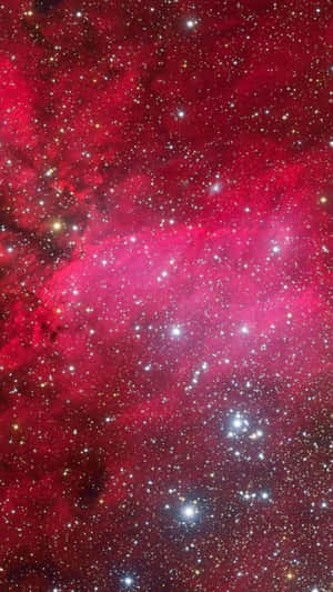 在深空中充滿明亮星星的紅色星雲。 — 美學粉色GIF 壁紙