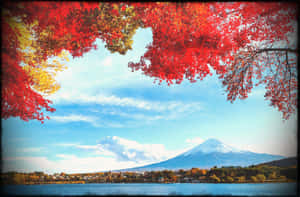 白雪覆蓋的富士山被平靜湖面上的紅色秋葉環繞。 — 日式 壁紙