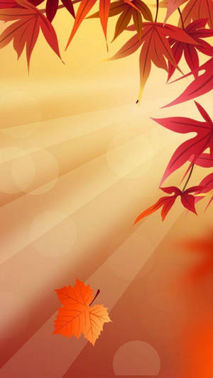 落下的楓葉襯托金色陽光背景，頂部由紅色楓葉框住。 — 秋季 壁紙
