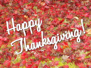 紅色秋葉床上的Happy Thanksgiving文字。 — 4:3 壁紙