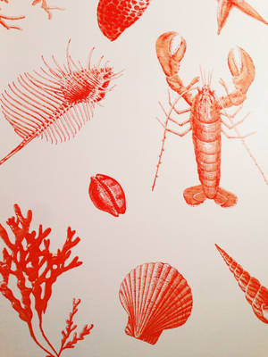 紅色海洋生物插圖，包括龍蝦、珊瑚和貝殼，背景為米白色 — 海鮮 壁紙