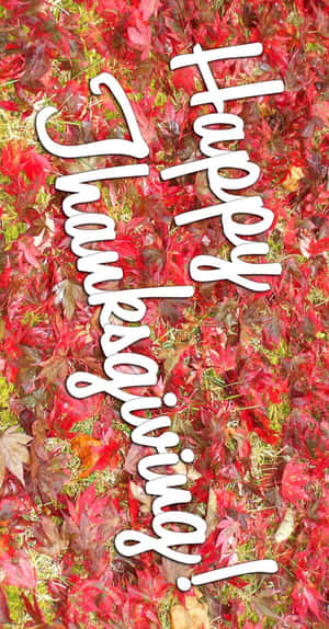 紅色秋葉上的 Happy Thanksgiving 文字 — 可愛感恩節 壁紙