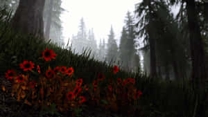 霧氣籠罩的松樹林中的紅色野花，背景有高大的樹木。 — 電玩遊戲 GIF 壁紙
