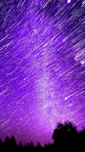 紫色的星軌在夜晚黑暗的森林剪影上拱起。 — 紫色銀河 壁紙