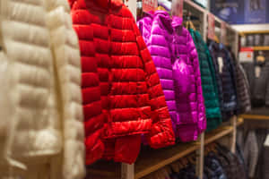 一排色彩繽紛的絎縫外套掛在服裝店的展示架上。 — 購物 壁紙