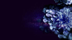藍色和紫色花朵漂浮在星光燦爛的宇宙空間場景中。 — 花 壁紙