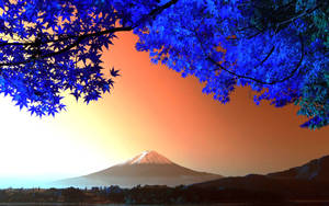 藍色楓葉框住日落時的富士山。 — 美麗的藍色 壁紙