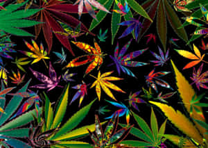 黑色背景上色彩繽紛發光的大麻葉 — 大理石 壁紙