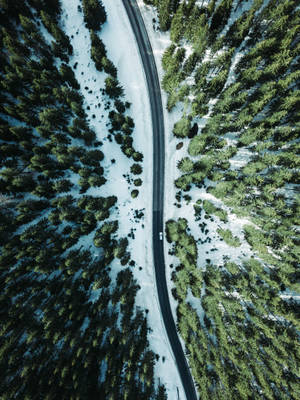 一條蜿蜒的道路穿過白雪覆蓋的松樹林，只有一輛汽車。 — 奧地利 壁紙