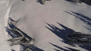 白雪覆蓋的山坡，常綠樹在明亮的陽光下投下長長的影子。 — 冬季風景 壁紙