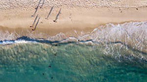 鳥瞰圖：海灘遊客在碧綠海水中游泳和曬太陽。 — 海景 壁紙