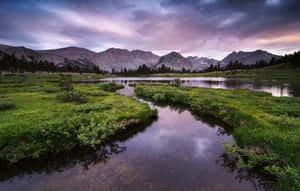 黃昏時分寧靜的山間湖泊，紫色雲彩倒映在平靜的水面和綠色草地上。 — 黃昏 壁紙