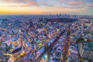 日落時分的東京城市景觀，閃爍的霓虹燈和密集的建築物。 — 東京喰種風格 壁紙