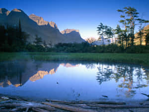 黎明時分，山湖倒映山峰和樹木，前景有原木 — 水 壁紙