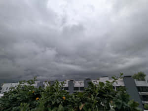 現代建築上空的黑暗暴風雲，綠色植物和黃色花朵 — 雲朵 壁紙