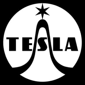 圓圈內 E 上方有星的 Tesla 標誌