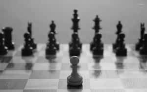 西洋棋背景 — 撲克牌桌 壁紙