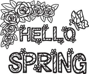 Hello spring 問候語，搭配玫瑰和蝴蝶的黑白線條藝術。 — 春天花朵 壁紙