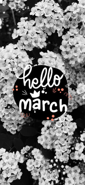 黑白花卉背景，帶有hello march文字圖形。 — iPhone 15 壁紙