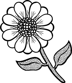 黑白花卉插畫
