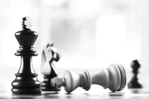 西洋棋圖片 — 桌球 壁紙