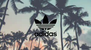 日落時棕櫚樹上的Adidas標誌 — 愛迪達 GIF 壁紙