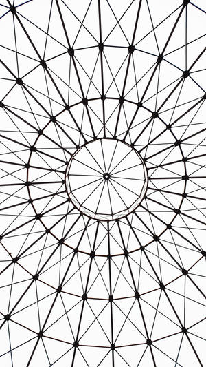 白色背景上具有徑向對稱的黑色幾何格柵圖案 — 白色抽象 壁紙