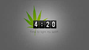 綠色大麻葉後面的一個數位時鐘顯示4:20，下方有文字。 — 淺綠色系 壁紙